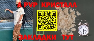 СК Бердск
