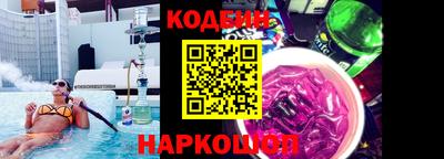 СК Бердск