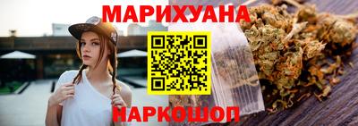 СК Бердск