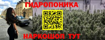 СК Бердск