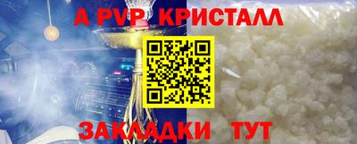СК Бердск